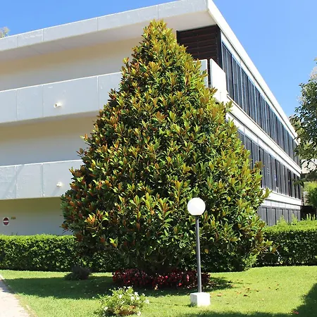 Magnolia