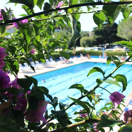 Magnolia Pet Friendly 3*