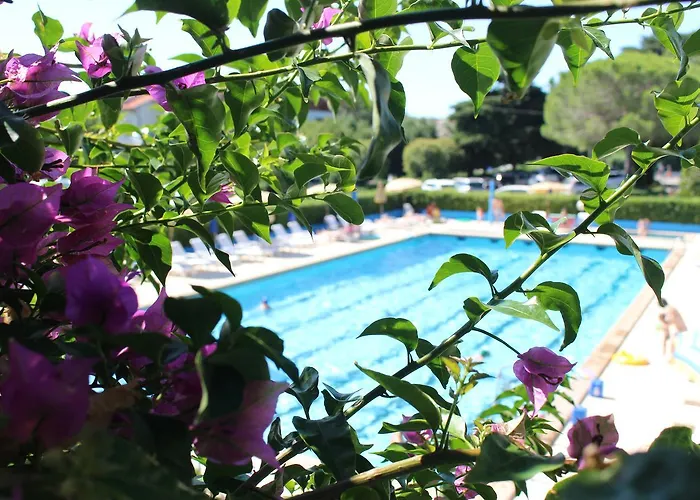 Magnolia Pet Friendly 3*
